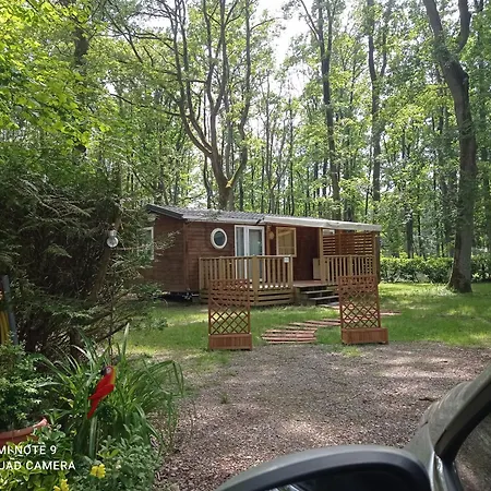 Location Mobil-home, Ile De France, Havre De Paix Au Coeur D' Foret Avec Piscine *